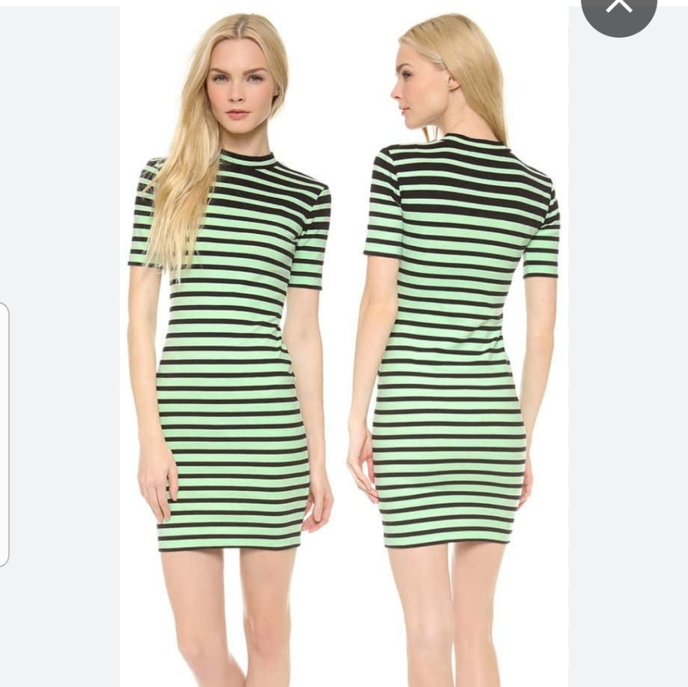 Alexander wang dress